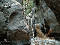 El Remate por la Quebrada de Los Sosa, Amaicha