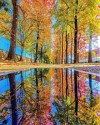 Espejo de otoño