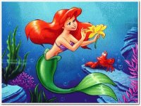ariel