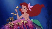 ariel