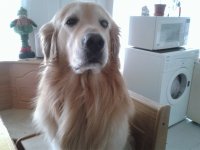 zeus abril 2013