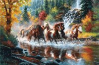 Horses