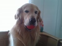 zeus con su pelota abril 2013