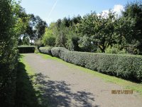 Sommer im Garten Verein